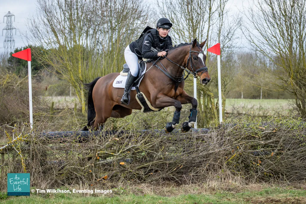 Abbey Thompson rides Cadbury KSNZ on cross country for the Open Novice eventing at Oasby (1) Horse Trials 2026 | An Eventful Life
