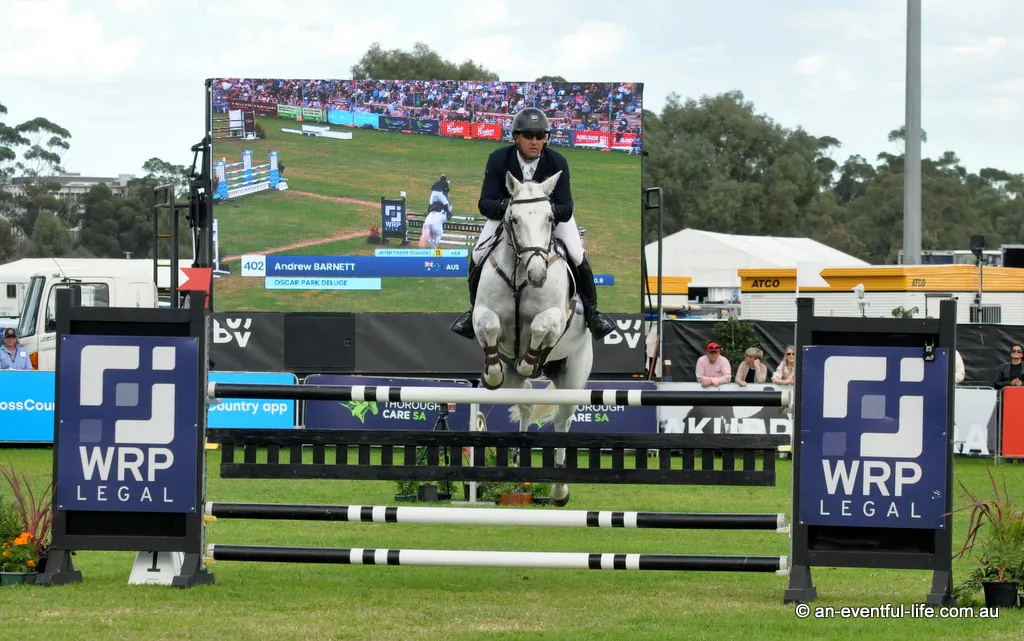 Andrew Barnett rides Oscar Park Deluge in the CCI4* eventing at the Adelaide Equestrian Festival, 15th – 19th April 2026 | An Eventful Life