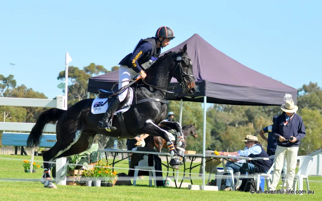 Sam Jeffree rides Wimborne Conjuror in the CCI4* eventing at the Adelaide Equestrian Festival, 15th – 19th April 2026 | An Eventful Life