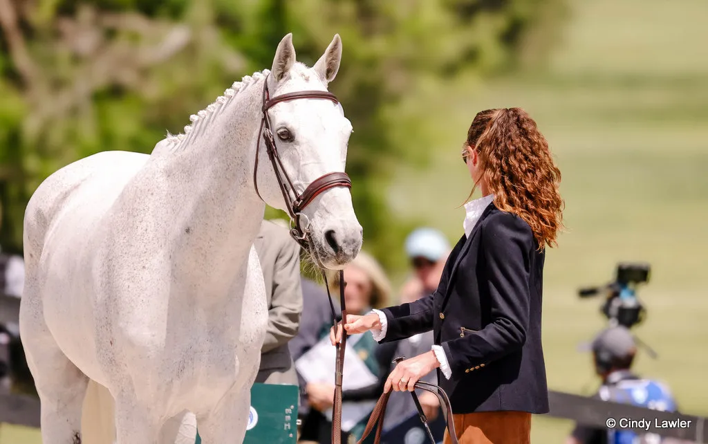 Emily Hamel presents Corvett during the first horse inspection for the CCI5* eventing at Kentucky Three Day Event 2026 | An Eventful Life