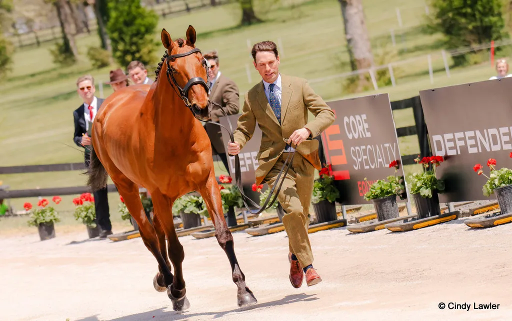 Harry Meade presents Grafennacht during the first horse inspection for the CCI5* eventing at Kentucky Three Day Event 2026 | An Eventful Life