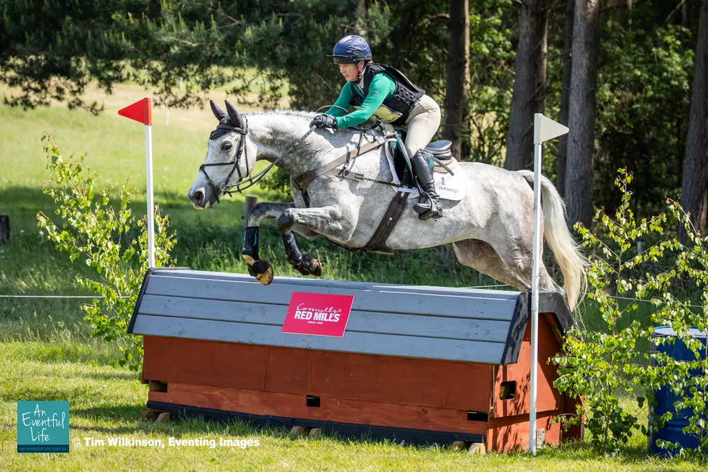 Alex Postolowsky rides My Friend Bill during cross country for the Novice eventing at Osberton (1) International Horse Trials, May 2026 | An Eventful Life