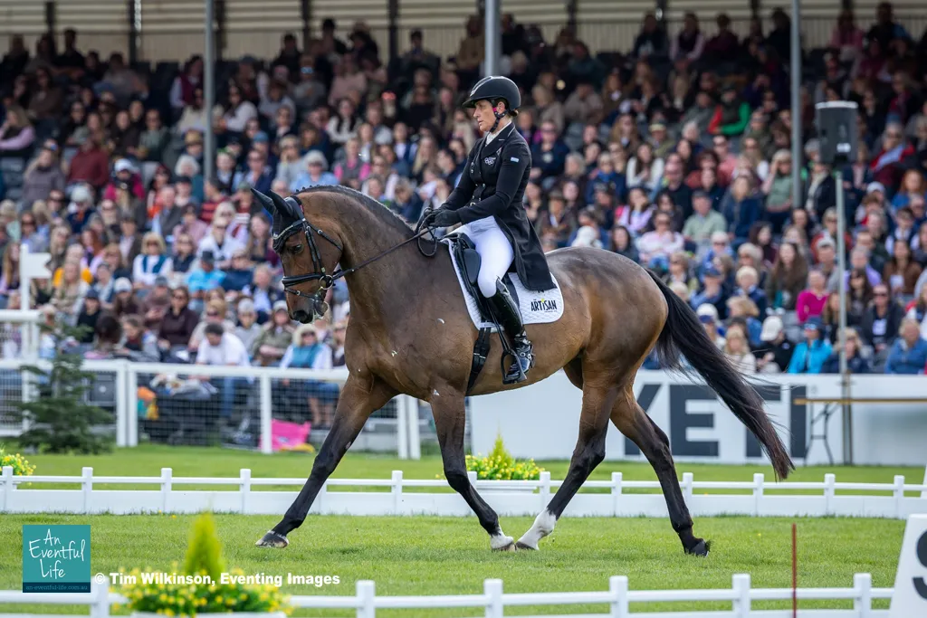 Caroline Powell rides Greenacres Special Cavalier during dressage for the CCI5* eventing at Badminton Horse Trials 2026 | An Eventful Life