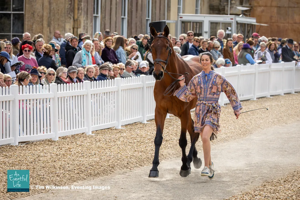 Tayla Mason presents Centennial during the first horse inspection for the CCI5* eventing at Badminton Horse Trials 2026 | An Eventful Life