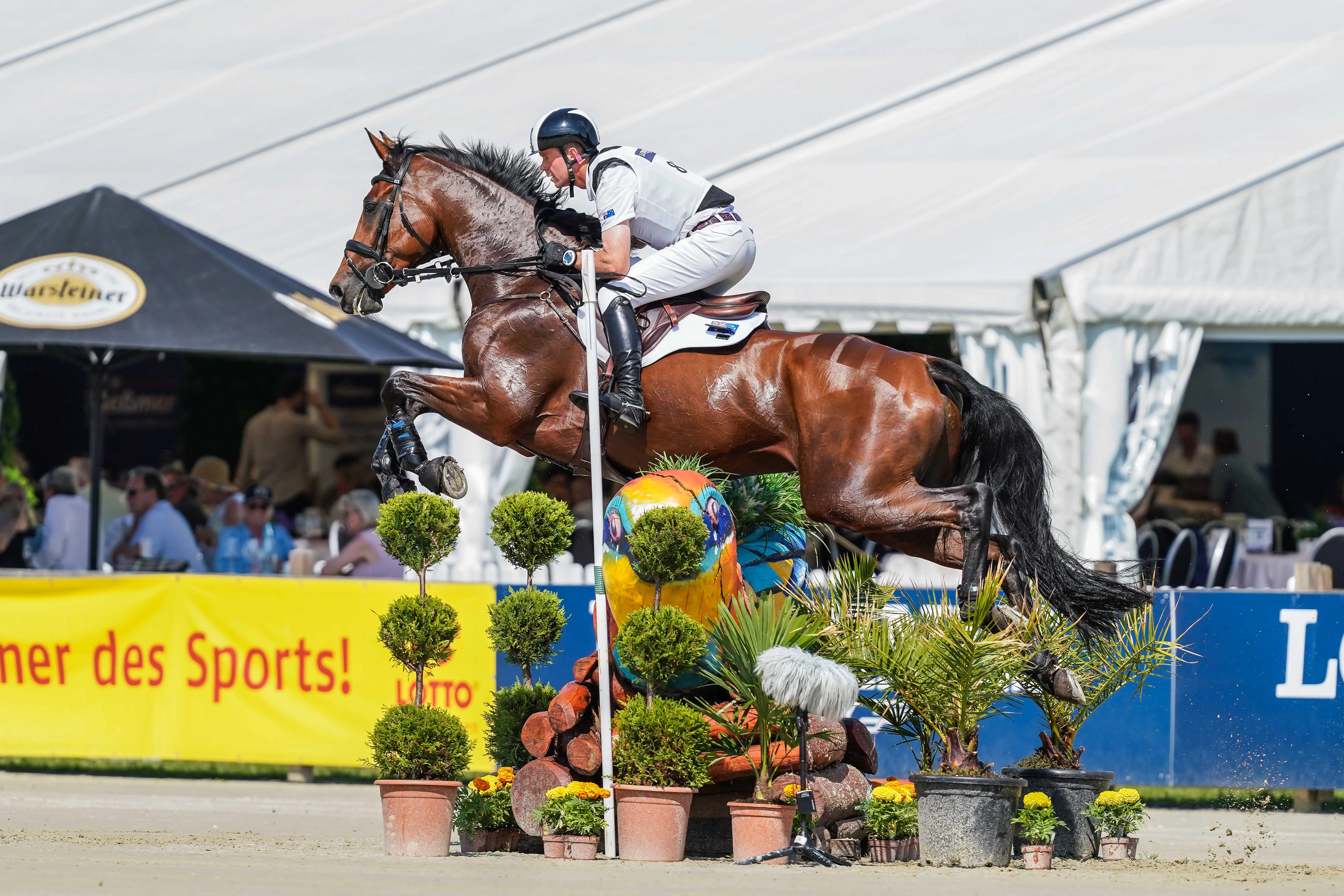 Kevin McNab rides Faro Imp during cross country for the CCI4* eventing at 2026 Longines Luhmuhlen Horse Trials, Germany, 17-21 June 2026 | An Eventful Life