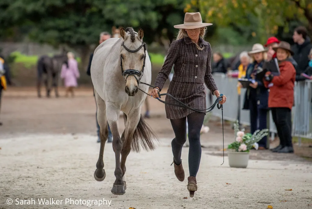 Jess Somerfield presents Mythology of Freya for the CCI2*-L eventing at the Melbourne International 3 Day Event June 2026 | An Eventful Life