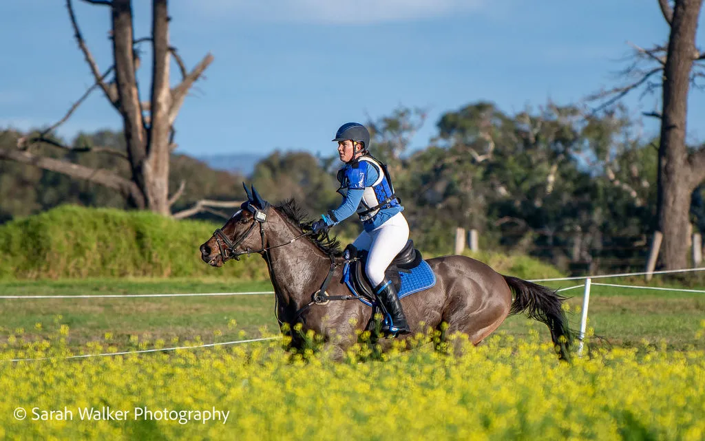 Naomi Lawton rides Jaggernaut during cross country in the CCN1*-L eventing at the Melbourne International 3 Day Event June 2026 | An Eventful Life