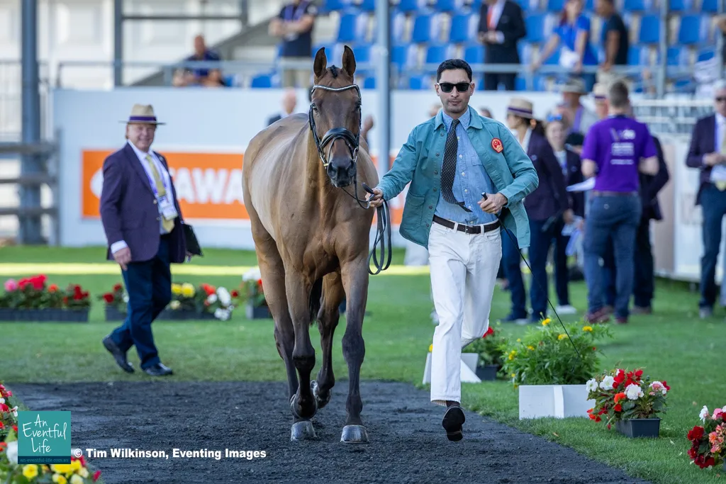Alex Hua Tian presents Chicko during the eventing first horse inspection at FEI Eventing World Championships Aachen (11 – 16 August 2026) | An Eventful Life