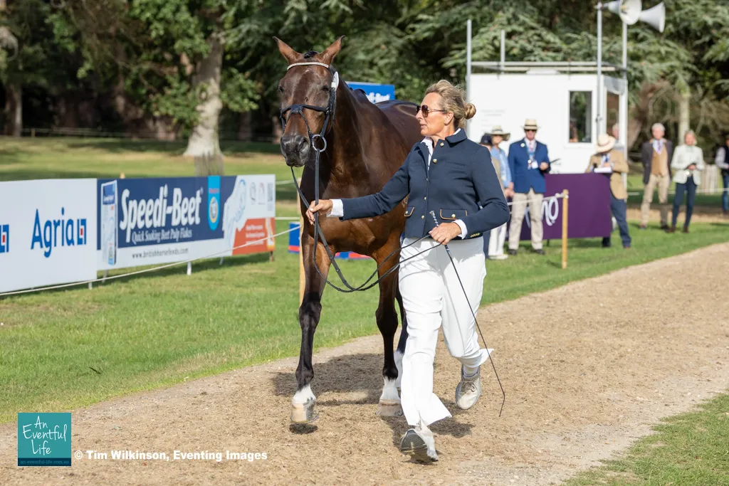 Christine Bates presents Bloomfield Findon during the CCI4*-L eventing first horse inspection at Agria Blenheim Palace International Horse Trials 17-20 September 2026 | An Eventful Life