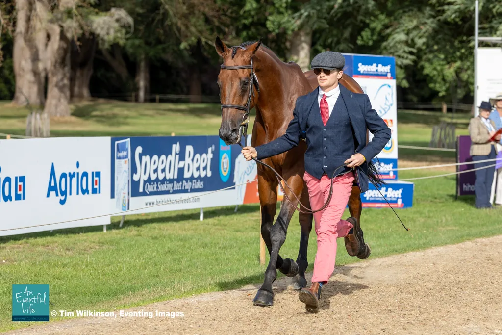 George Bartlett presents Lukas during the CCI4*-L eventing first horse inspection at Agria Blenheim Palace International Horse Trials 17-20 September 2026 | An Eventful Life