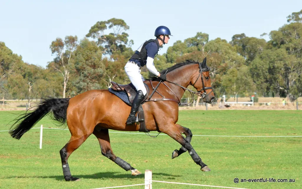 25-Adelaide-3Star-Oliver-Barrett-Sandhills-Briar (2).JPG