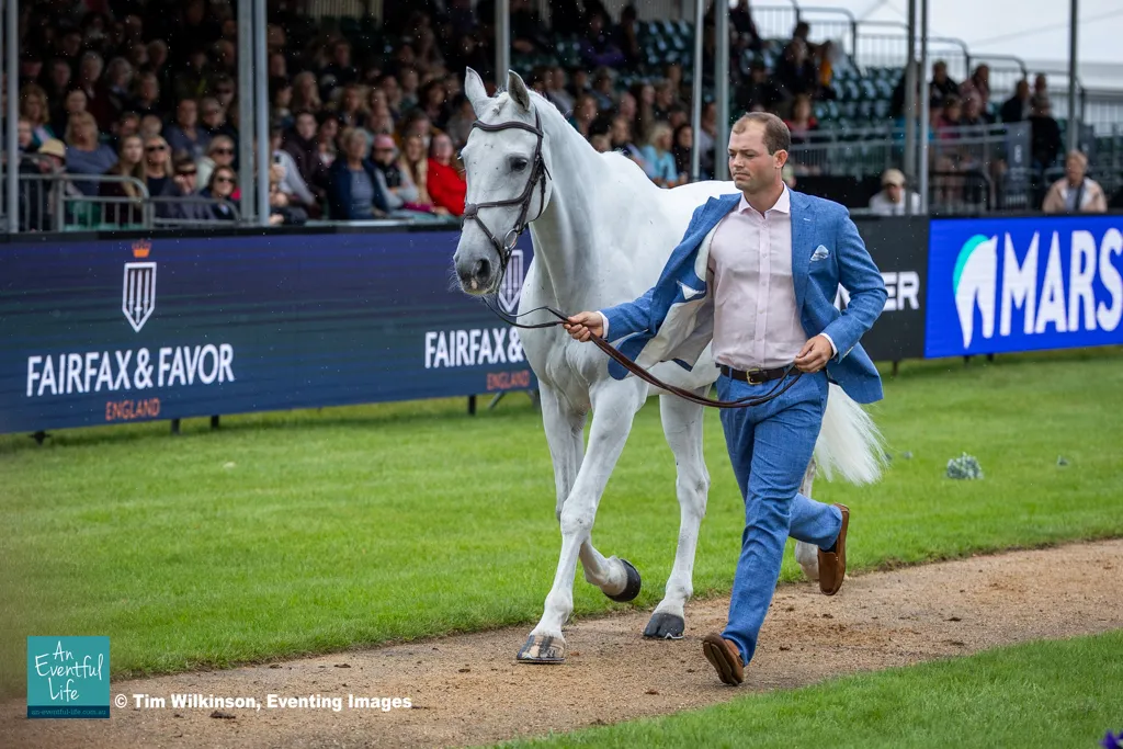 Alex Tordoff talks about his career in eventing, his quirky 5* level horse Cool Jack and producing horses for sale at his equestrian property Hyde Lodge Horses | An Eventful Life