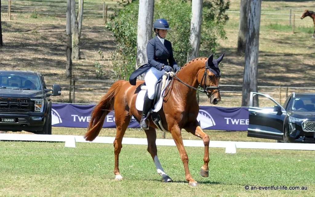 Gemma O’Leary riding Arnage Porsche leads the CCI4*-S eventing after dressage at Queensland 3 Day Event in Tamborine where we talk to class leaders & Andrew Cooper | An Eventful Life