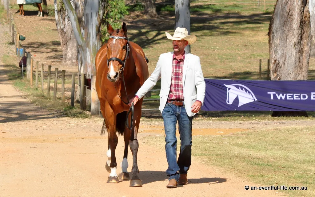 Queensland International 3 Day Event 2025 got underway at Tamborine with Australian Country themed first horse inspection for the international eventing classes | An Eventful Life