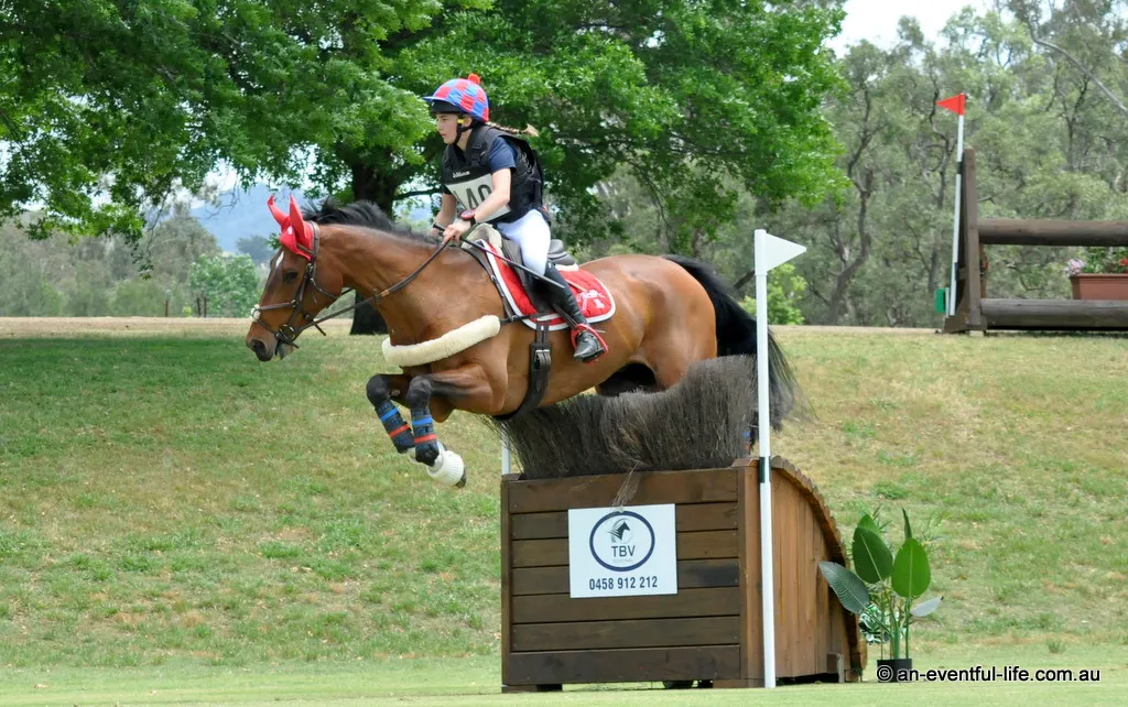 Lamoza Velisha riding Call Me Cooley win the CCI3*-S at Scone Horse Trials at Ellerston, after making the long journey from Melbourne | An Eventful Life
