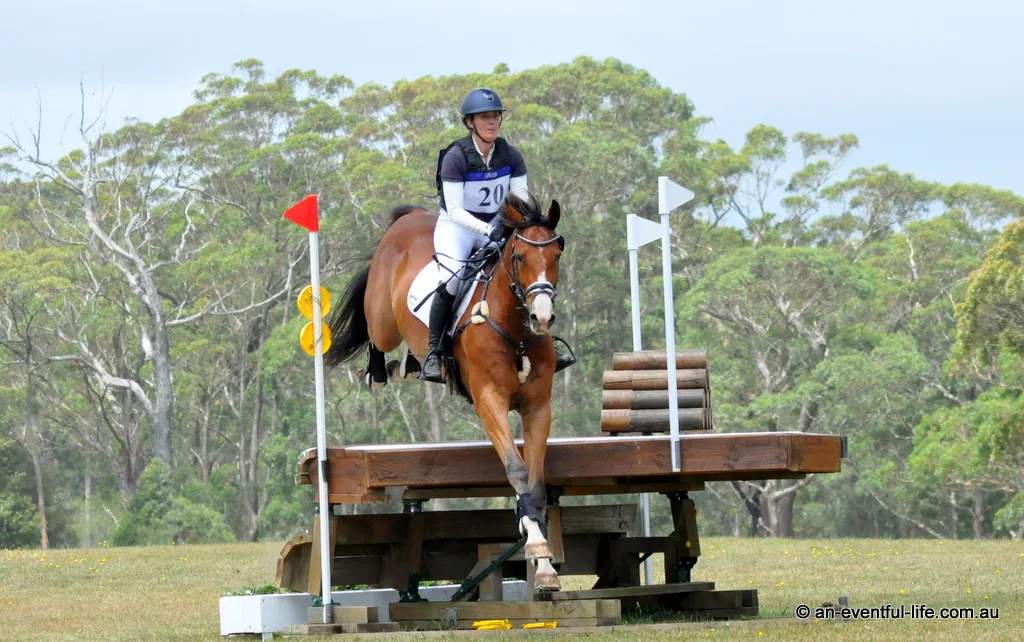 25-WH-Niki-Rose-Cooley-All-Over-YH-CHampion (4).JPG