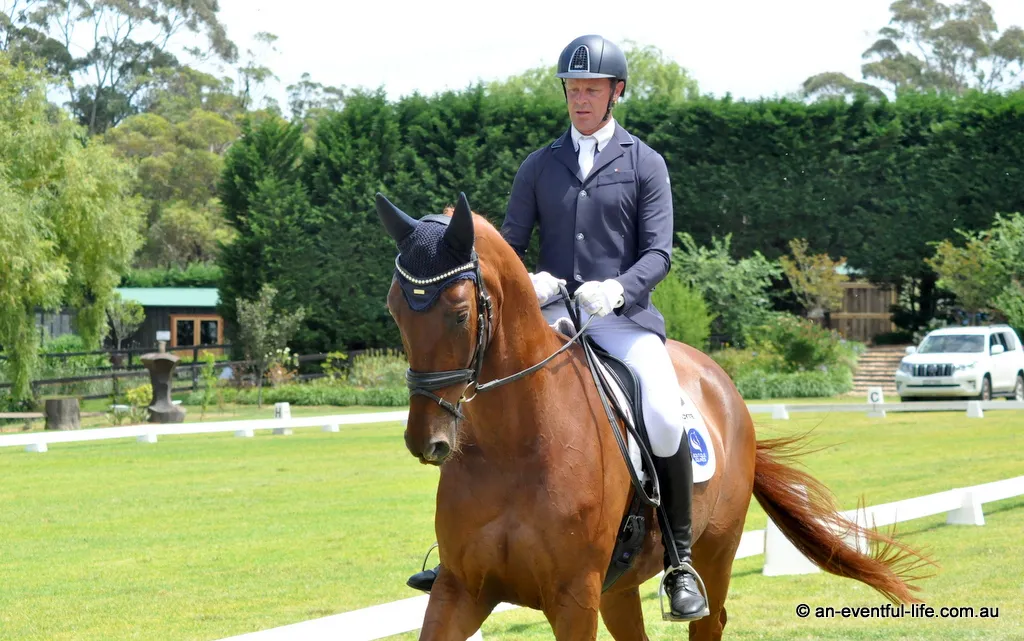 25-Wallaby-Hill-YH-Deon-Stokes-Freycinet-II-dressage (2).JPG