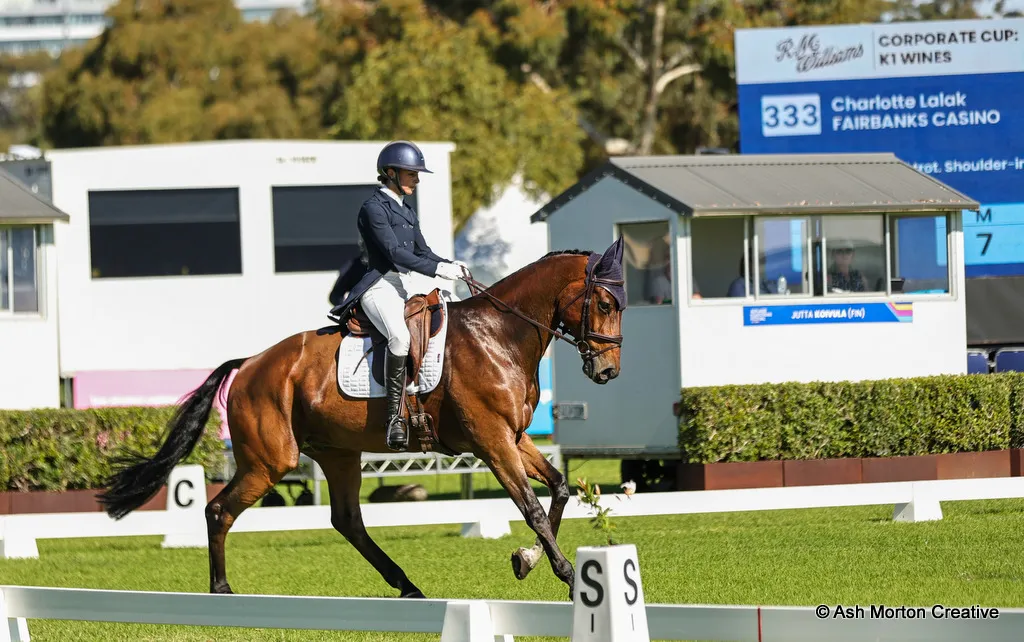 26-Adelaide-3Star-dressage-Charlotte-Lalak-Fairbanks-Casimo-leader.jpg