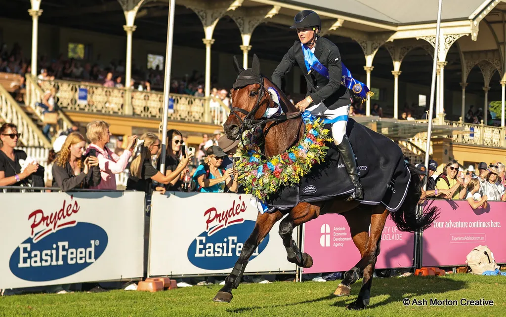 26-Adelaide-5Star-SJ-Oliver-Barrett-Sandhills-Briar-winner (2).jpg