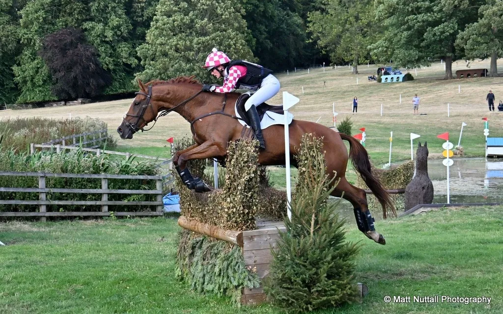 26-BB-July-Emily-Worsdale-Heras-Wildfire-BE100-U21-winner.jpg