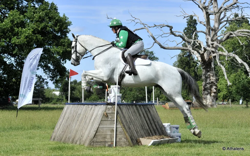 26-BCA-Stephanis-Read-IE-Mr-McGregor-BE100-winner-Athalens-purchased.jpg