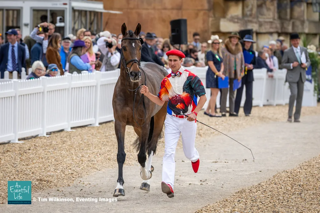 26-Badminton-Gaspard-Maksud-ZARAGOZA-Best- Dressed-Special-Prize.jpg