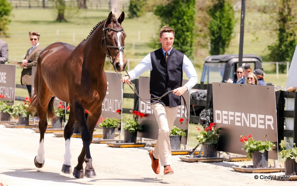 26-K3DE-Wed-Tom-Jackson-Plot-Twist-B (4).jpg