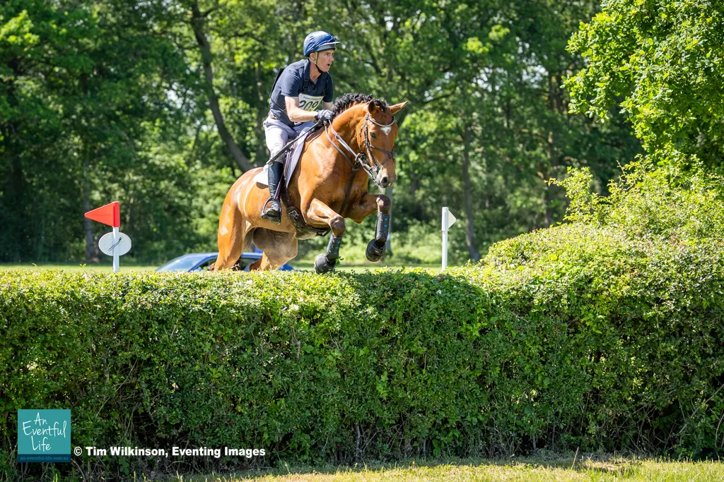 Andrew James KILCANNON PHOENIX (1st place Novice section E).jpg