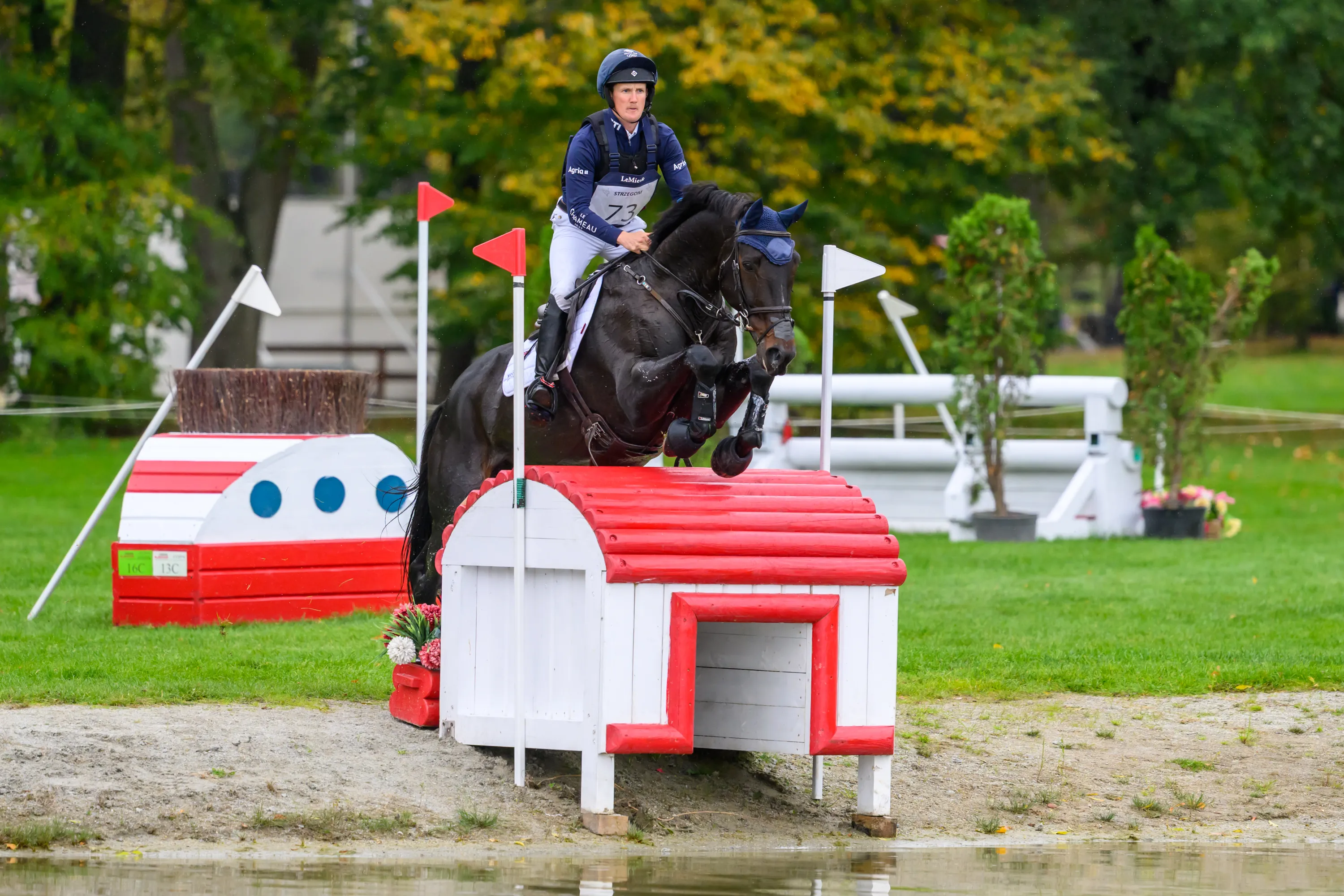CCI4L - Tom McEwen (GBR) - BROOKFIELD FUTURE NEWS - LW9_4641.jpg