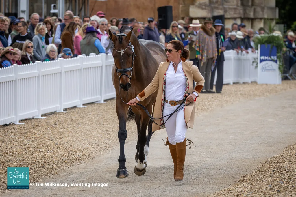 Caroline Powell GREENACRES SPECIAL CAVALIER.jpg