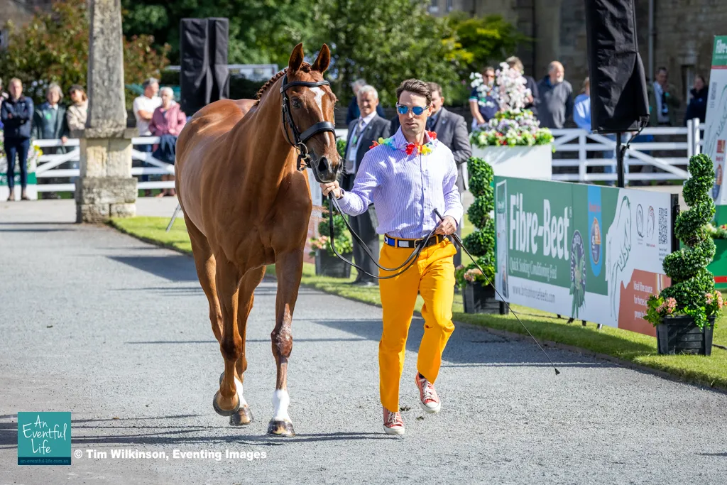 Harry Meade JET FIGHTER.jpg