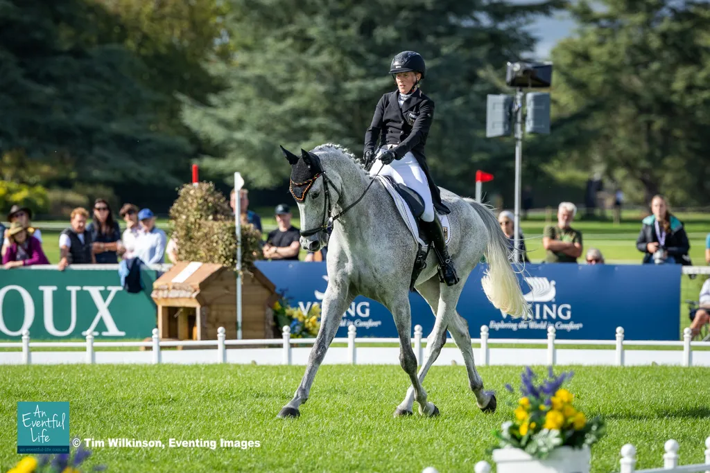 Malin Hansen-Hotopp and Carlitos Quidditch K lead FEI Eventing European Championships 2025 at Blenheim Palace after first day of dressage | An Eventful Life