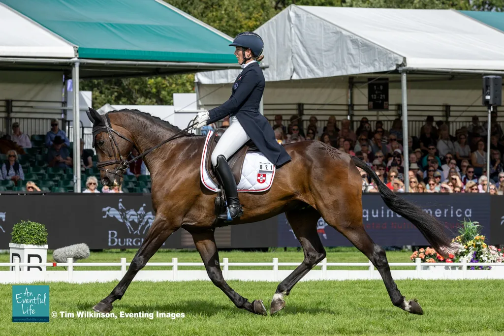 Nadja Minder TOBLERONE (1st place).jpg