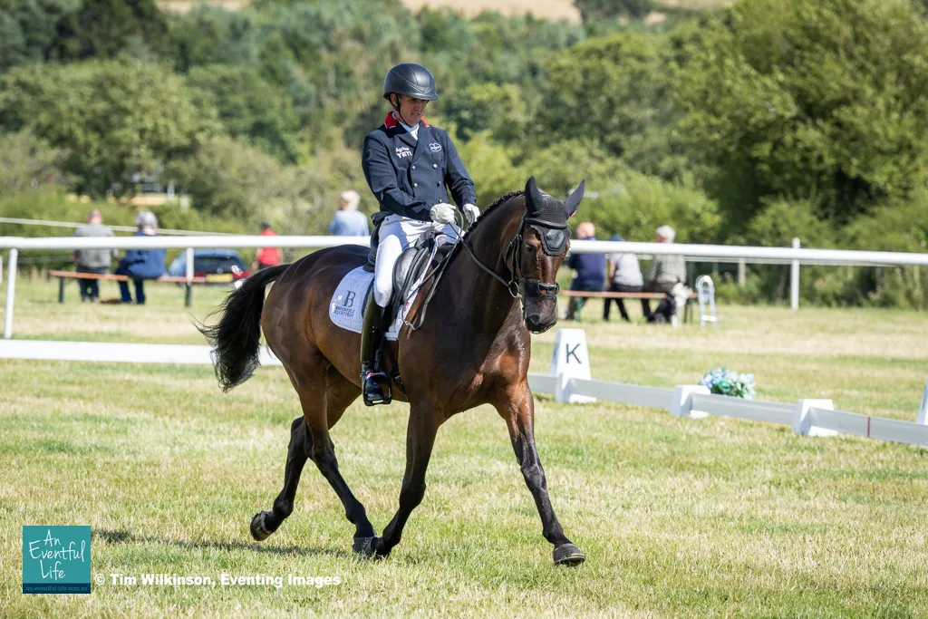 Tom McEwen BROOKFIELD QUALITY (1st place CCI4S section D).jpg